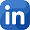 LinkedIn Coauditor