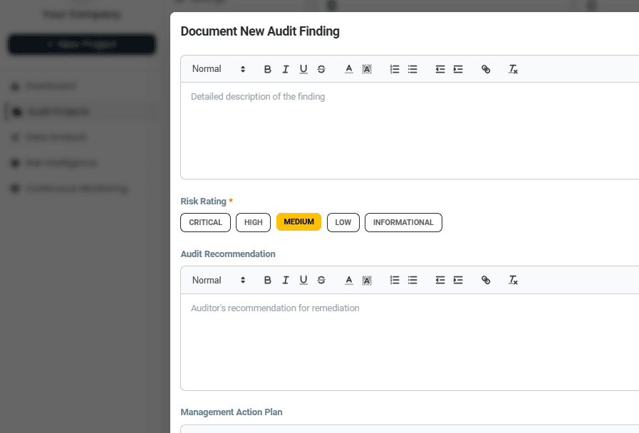 Audit Issue Management